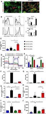 FTY720 Regulates Mitochondria Biogenesis in Dendritic Cells to Prevent Kidney Ischemic Reperfusion Injury